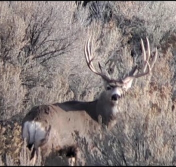 Remaining 2026 Hunts